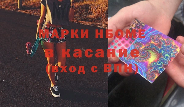 хмурый Алзамай