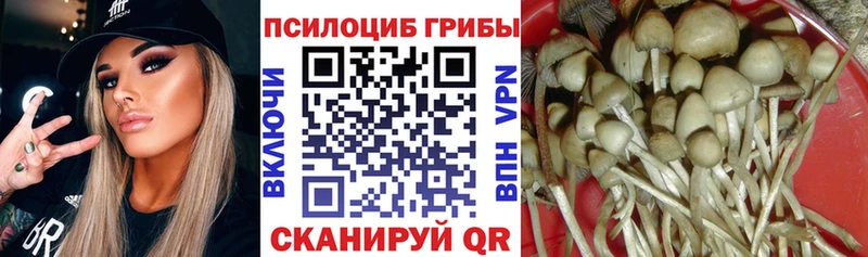 Галлюциногенные грибы Magic Shrooms  гидра зеркало  Туапсе 