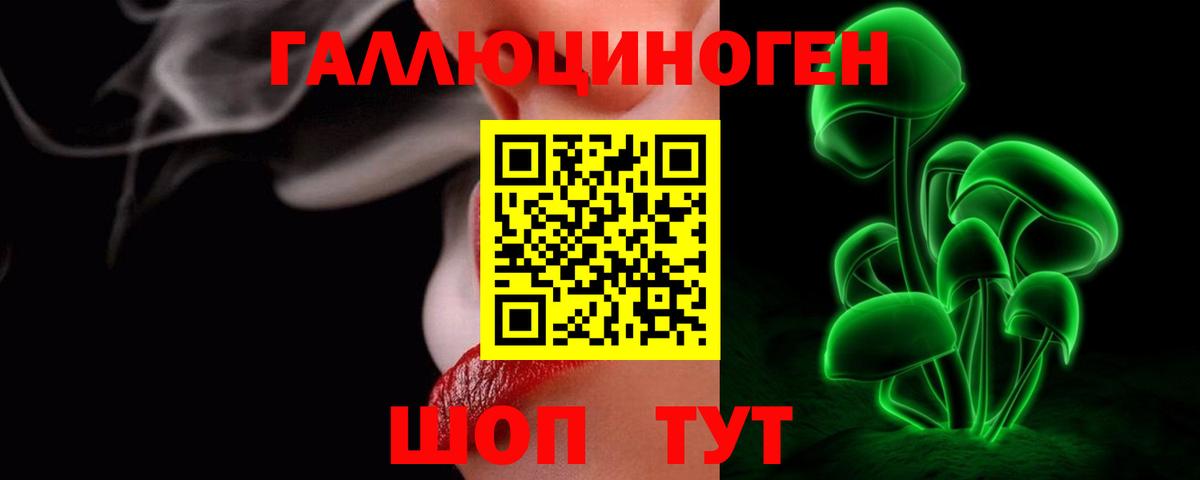 Псилоцибиновые грибы Psilocybe Туапсе